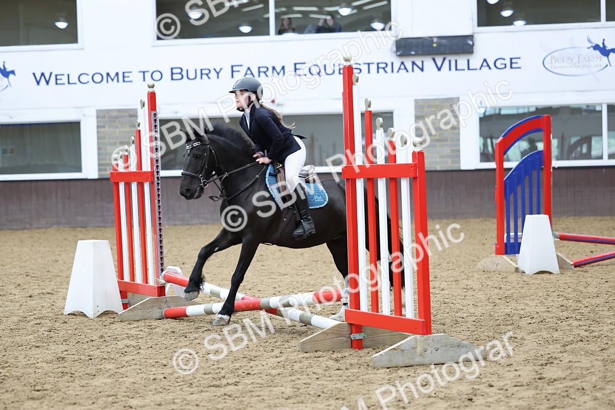 SBM_006939 - Class 1 - 40cm showjumping