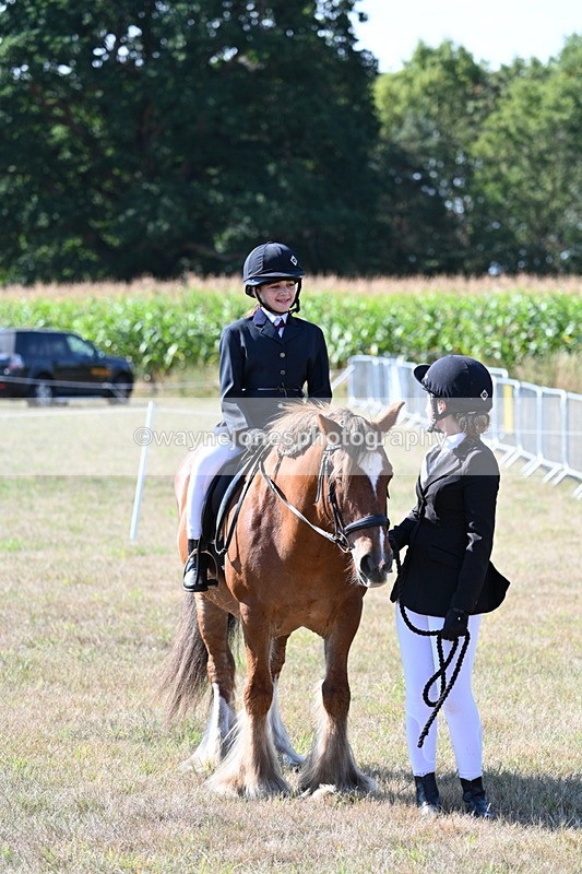 WJ7_3167 - Class 8 Ridden Tack & Turnout