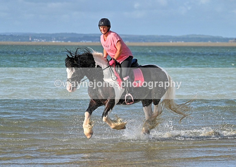 WJ7_3934_1 - Kellie & Churchill ... do Hayling Island 25-08-24