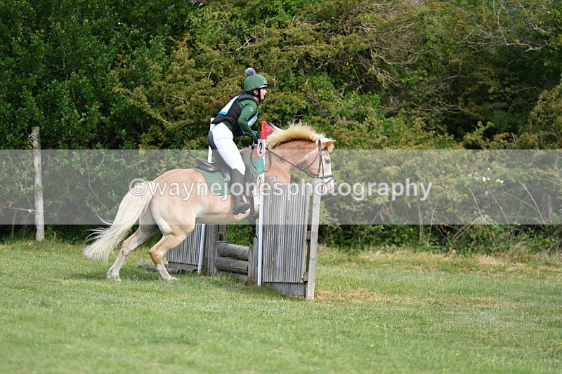 WJ5_2327 - Class 2 40cm