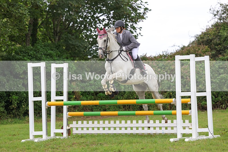 3E7A7229 - Class 5: Senior British Novice/90cm open