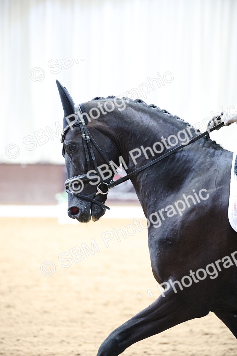 SBM_002221 - Class 5 - Novice 6 Gold - 9.00-10.10
