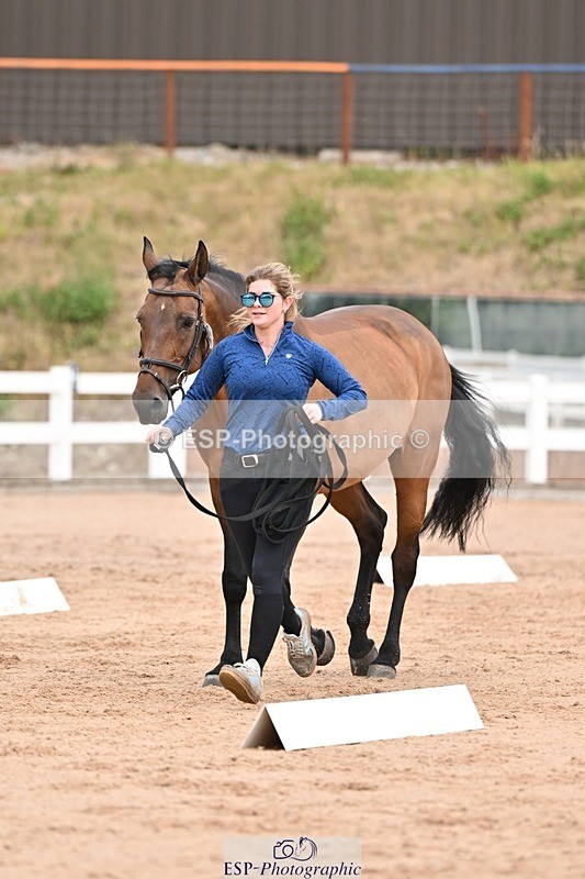 250716-151840-01858 - Trot Up 2.30 to 3.30