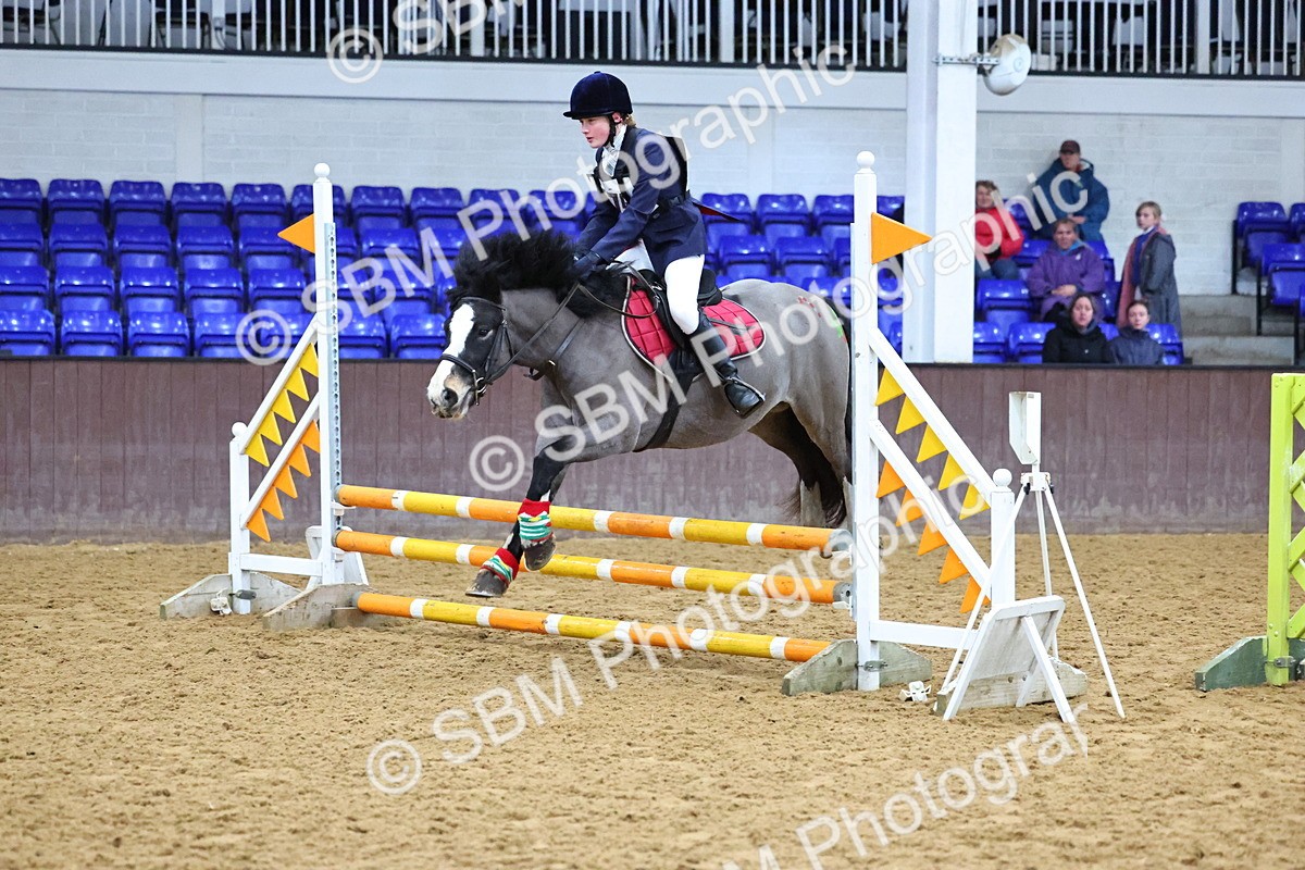 SBM_001266 - Class 3 - Christmas Tree Stakes - 60cm