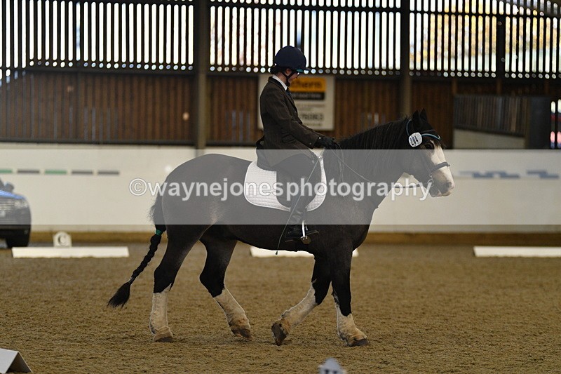 WJ5_6981 - Class 2 Intro Test 2