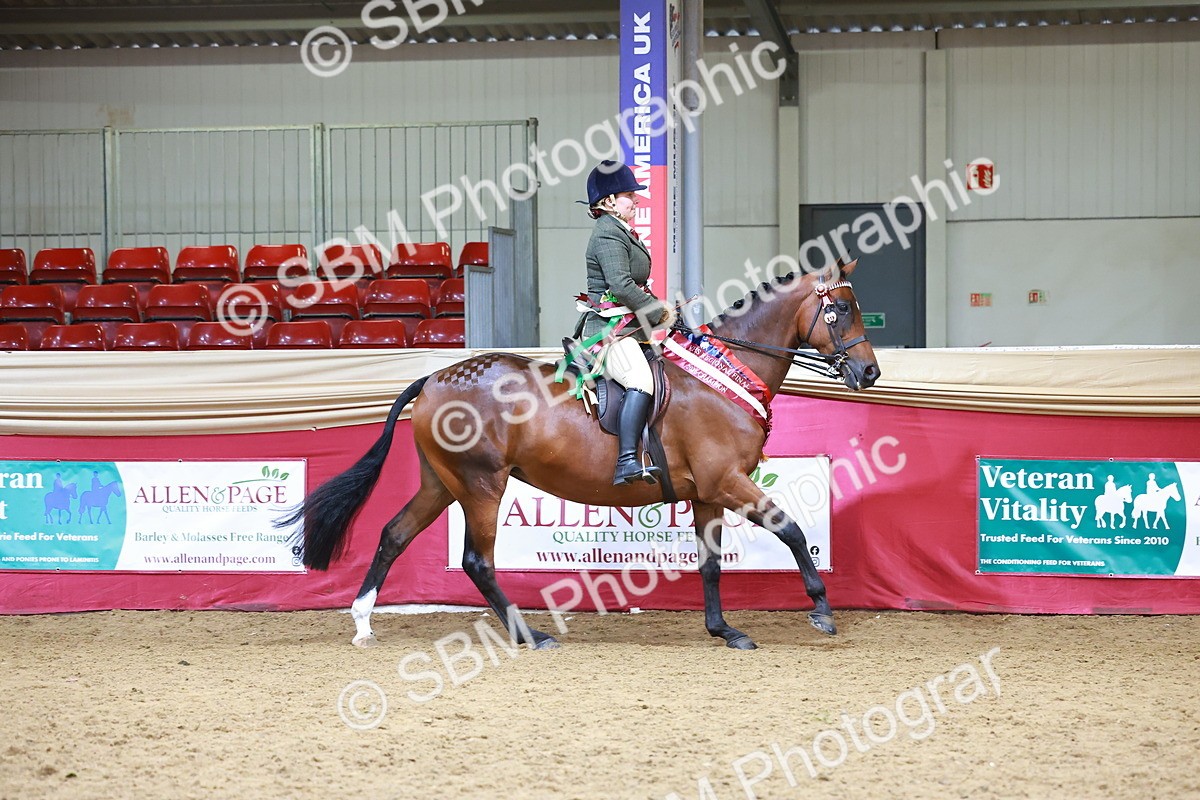 SBM_06426 - Regional Ridden Championship