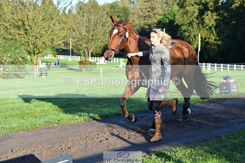 231022-090706-21573 - 641-SILVER.ROCK-Lucy.Boultbee-brooks-TrotUp+SJ