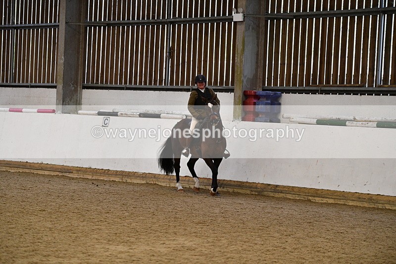 WJ5_7712 - Class 13 Ridden Part Breed