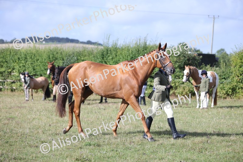 20250831-1416 - Class 21 - Inhand Open