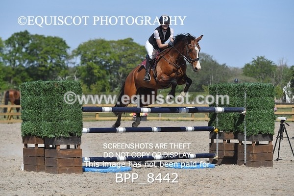 BPP_8442 - CLASS 7 Senior Foxhunter/ 1.20m Open