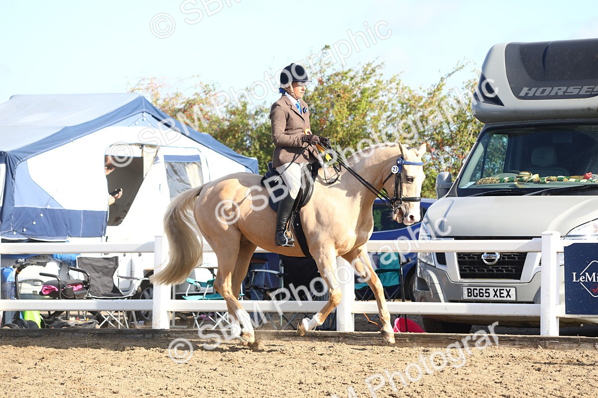 SBM_08615 - Class 502 - Riding Club Horse