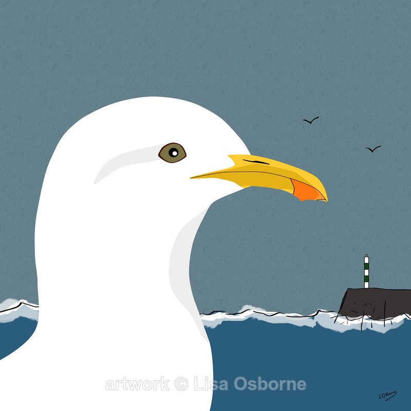 Gull - DIGITAL ARTWORK