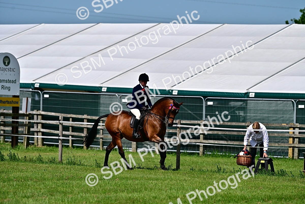 SBM_03782 - Class 58 - TSR  Ridden Veteran Amateur of the year