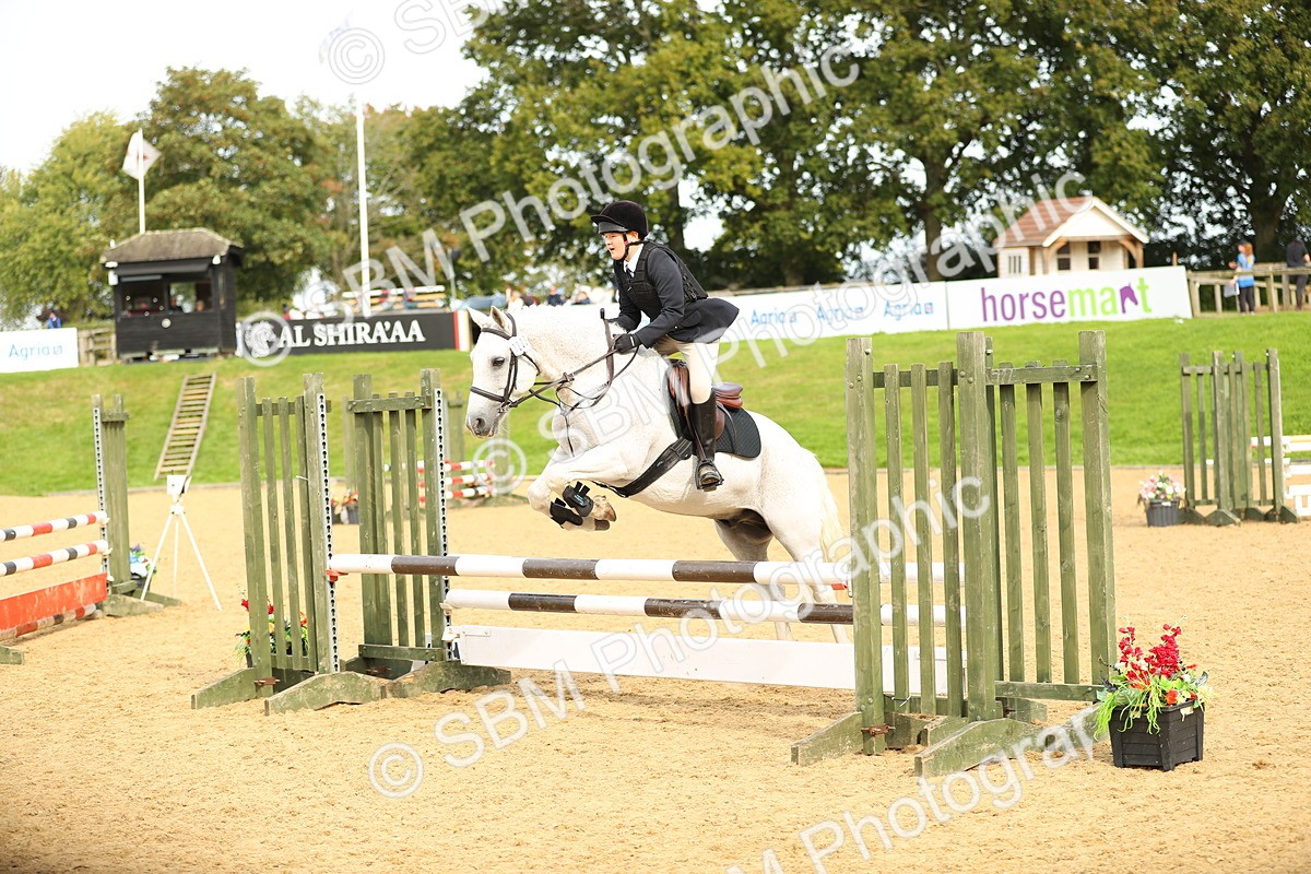 SBM_70337 - J18 - Junior Pony 85cm Championship