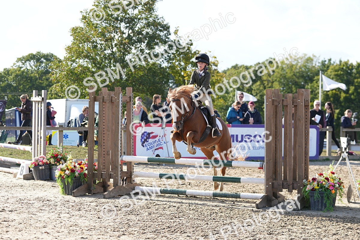 SBM_49378 - J8 - Junior Pony 65cm Championship