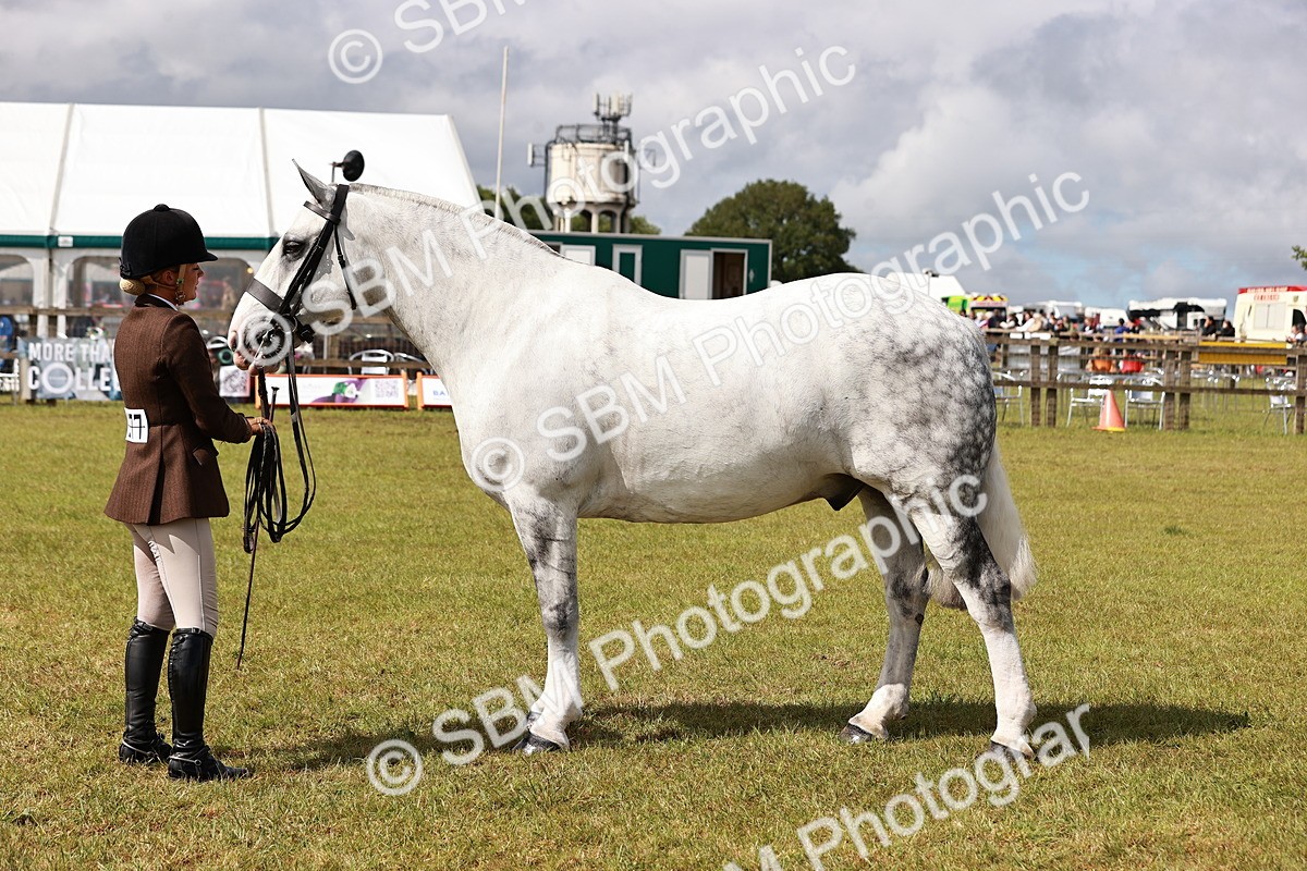 SBM_13135 - Class 85-87 - RIHS Cobs