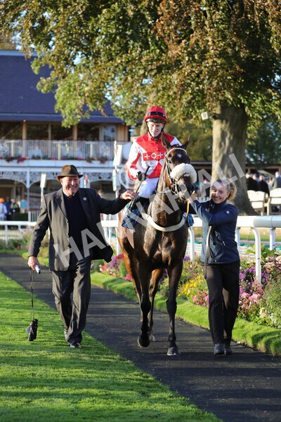 yr07102022r7-42 - Race 7 5.35pm IRE Incentive, It Pays To Buy Irish Stakes