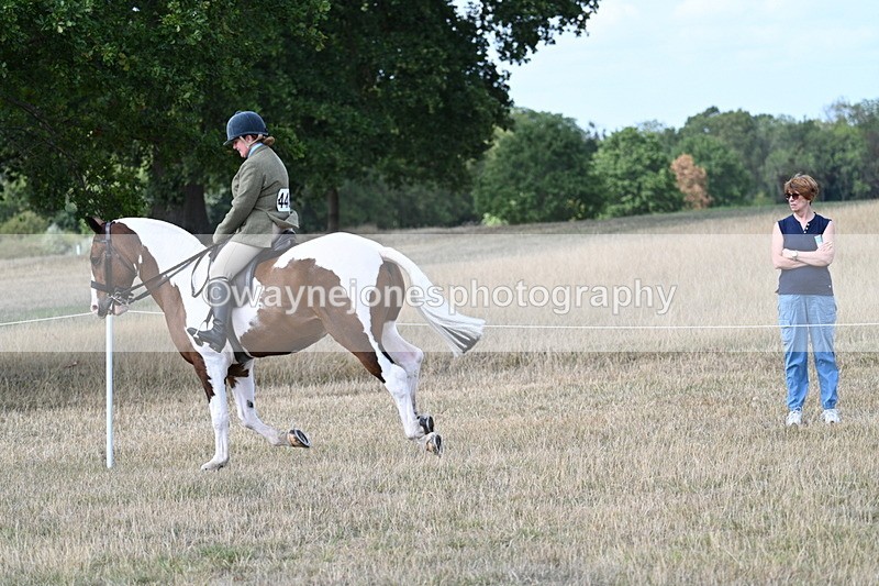 WJ7_6989 - Class 14 Ridden Coloured