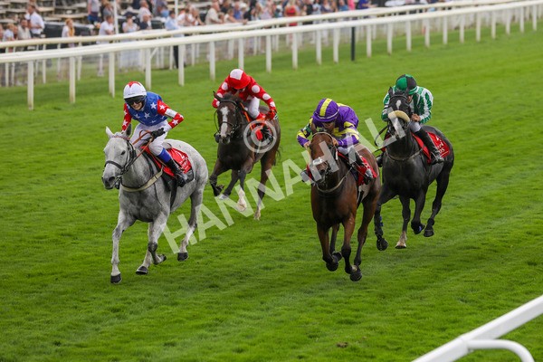 100923-Pony Race 2-3702 - Pony Race 2 12.45 The Dragon (TV and Film) Studios Pony Race 148cm & Under