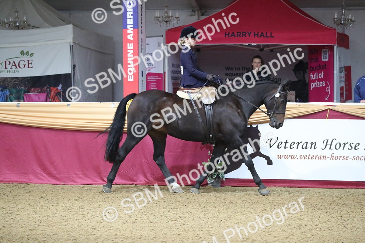 SBM_09259 - Class 101 Equitation (best rider), Junior