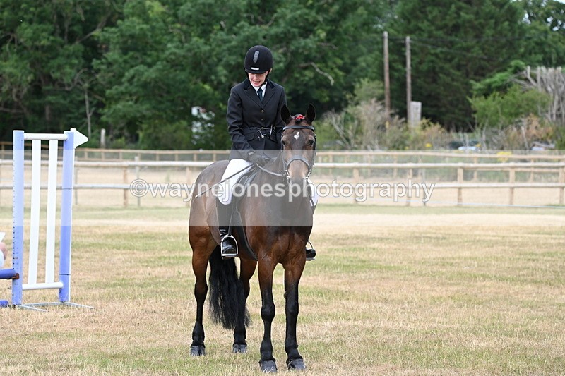 WJ6_3950 - Class 9 Tack & Turnout