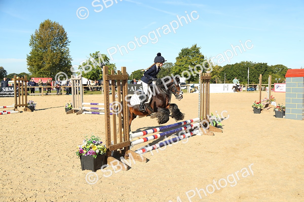 SBM_35856 - J5 - Junior Pony 50cm Championship