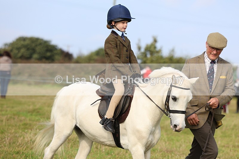 3E7A3707 - Class 2: Lead rein