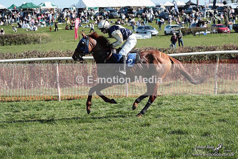 PtP 210326 235 - VWH Cirencester Races 21/03/26