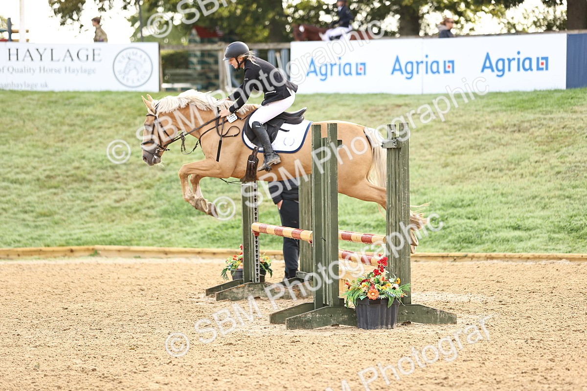 SBM_55125 - J62 - Clear Round 90cm