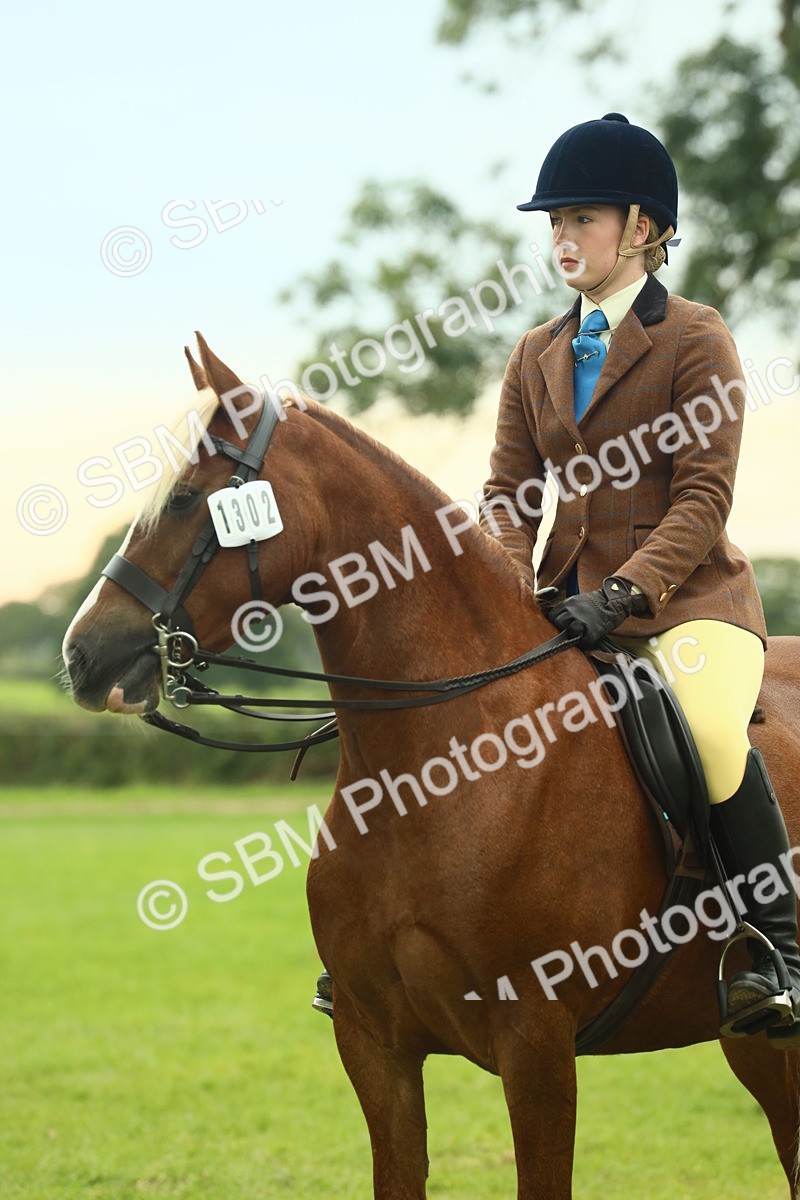 SBM_72253 - S60 - Mountain & Moorland Ridden Large Breeds