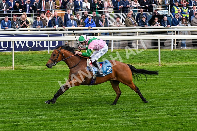 140526-Race 2-Jakajaro-0096 - Race 2 2.20pm Lindum York Handicap