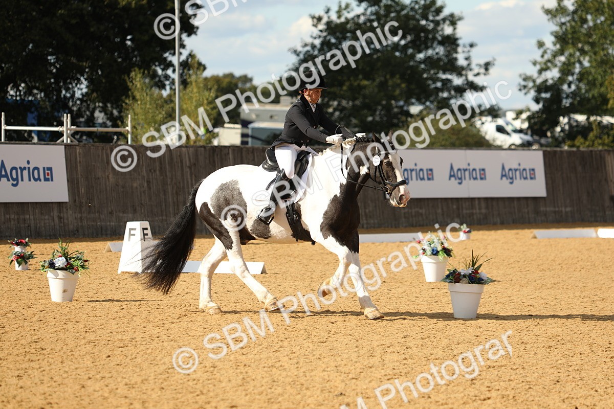 SBM_26700 - D17 - Grand Tour Championship - Novice 27
