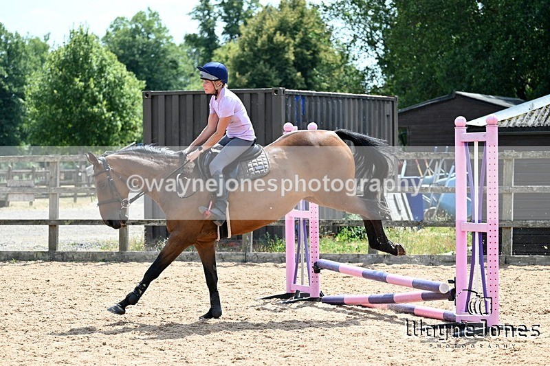 WJ7_6674 - Show Jumping at BCA