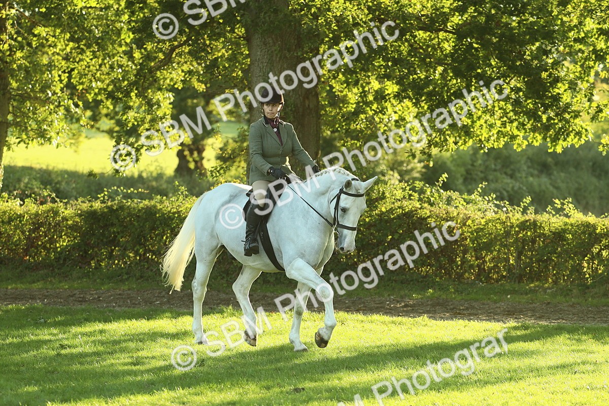 SBM_55564 - S14 - Riding Club Horse