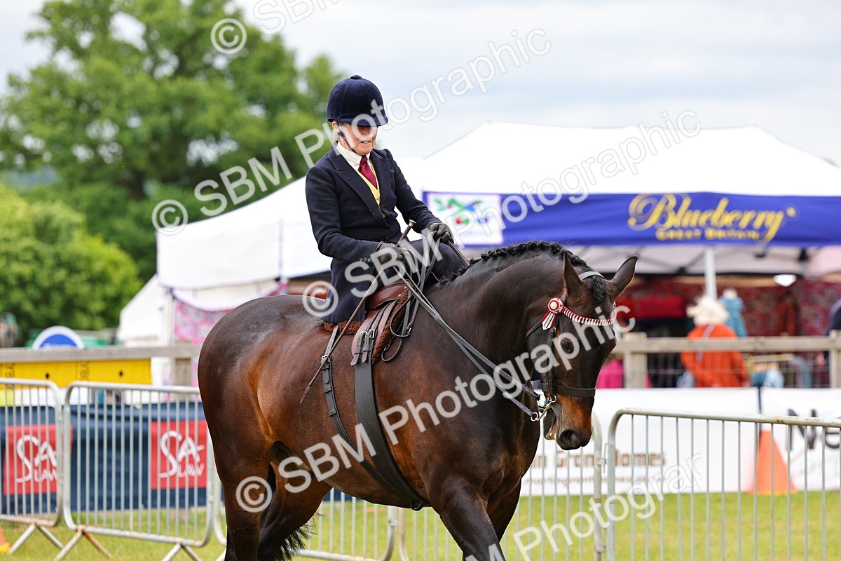 SBM_02924 - Class 9-11 Side Saddle including LIHS Rising Star Ladies Show Horse