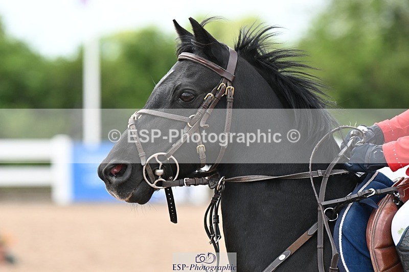 250504-142838-03614 - Cls 23 Stepping Stones