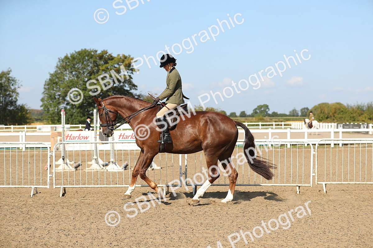 SBM_02241 - Class 43 Ridden Competition Horse/Pony
