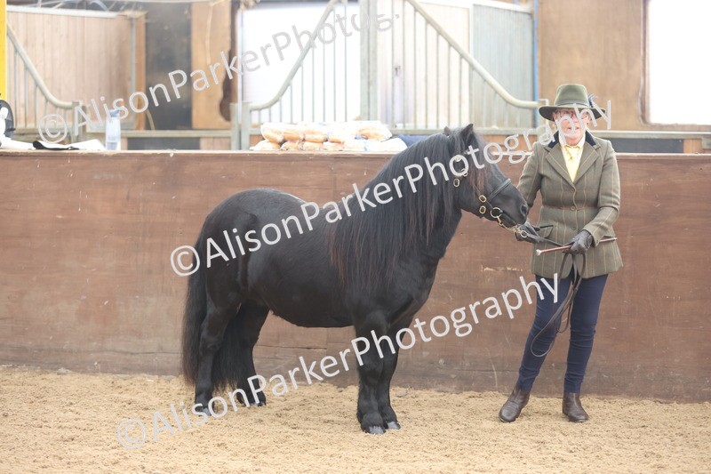 20251109-0031 - Class 3 - 2 and 3 Year Old