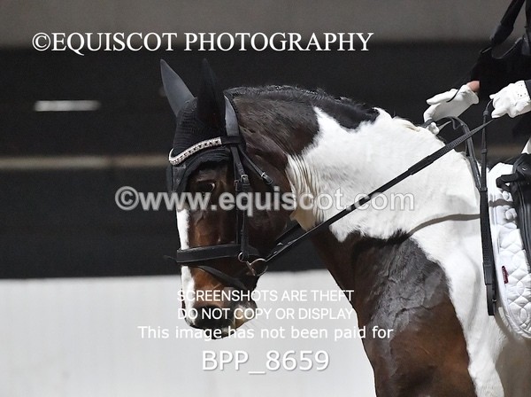 BPP_8659 - NOVICE 4 BD