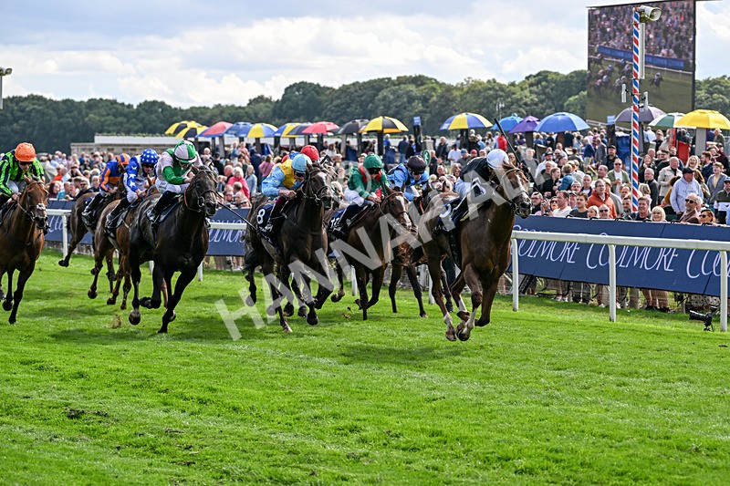 210826-Race 4-Bacio-6200 - Race 4 15.35pm Coolmore City Of Troy Nunthorpe Stakes