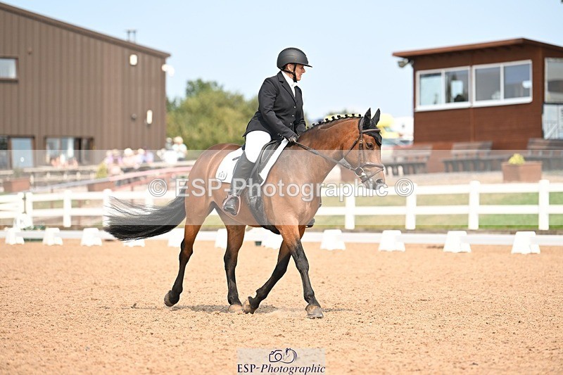 250816-141739-05067 - 049-Carolyn.GaleNewtown.Ringo