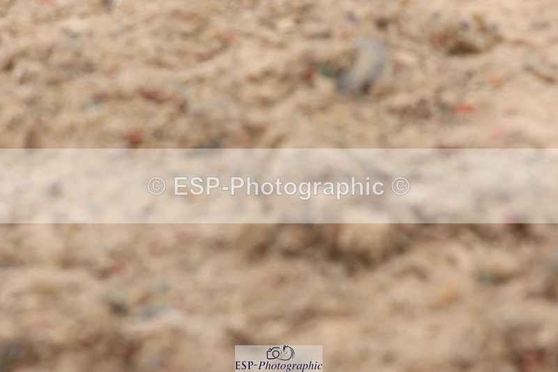 240622A-142030-13465 - Cls 33 BD Medium 73