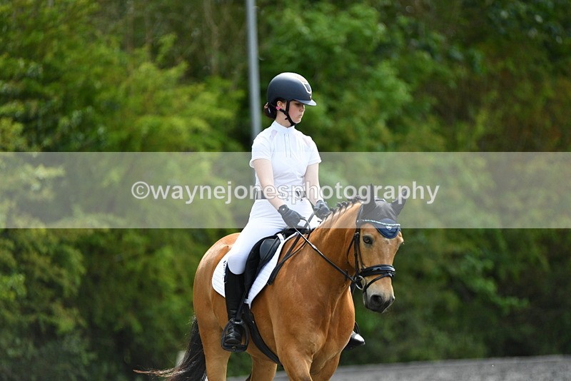 WJ5_1009 - Time 13:45 to 14:20