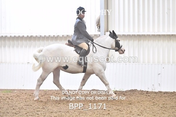 BPP_1171 - RING 2
