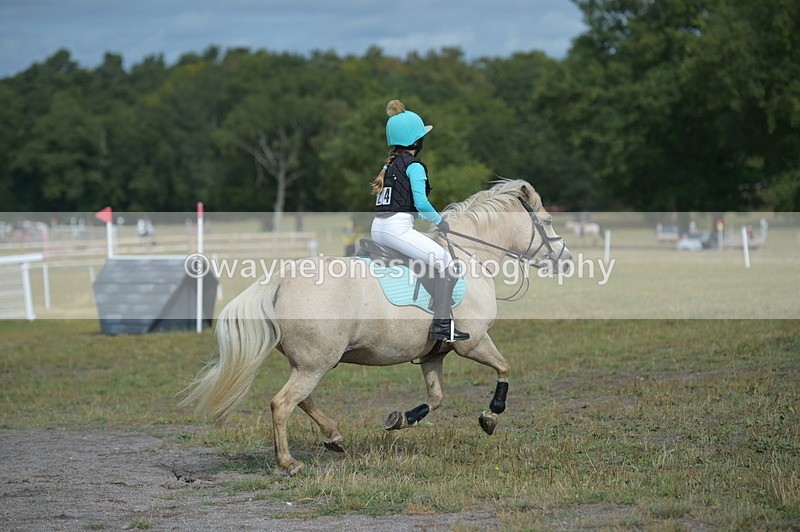 NGP_1897 - XC Time 10:53 to 11:00