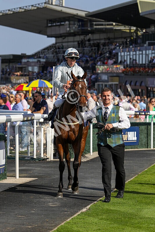 310824-Race 5-Bassadanza-1839 - Race 5