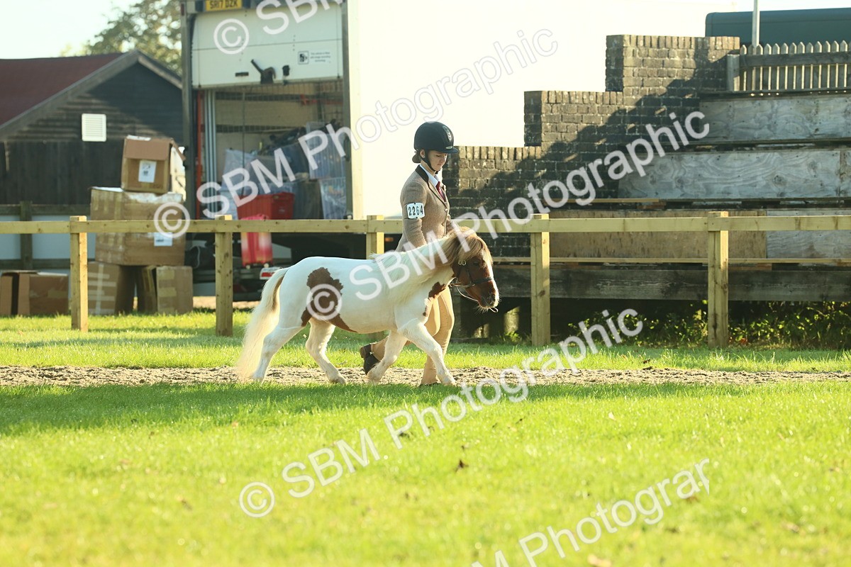 SBM_58544 - S37 - Starters In Hand Showing