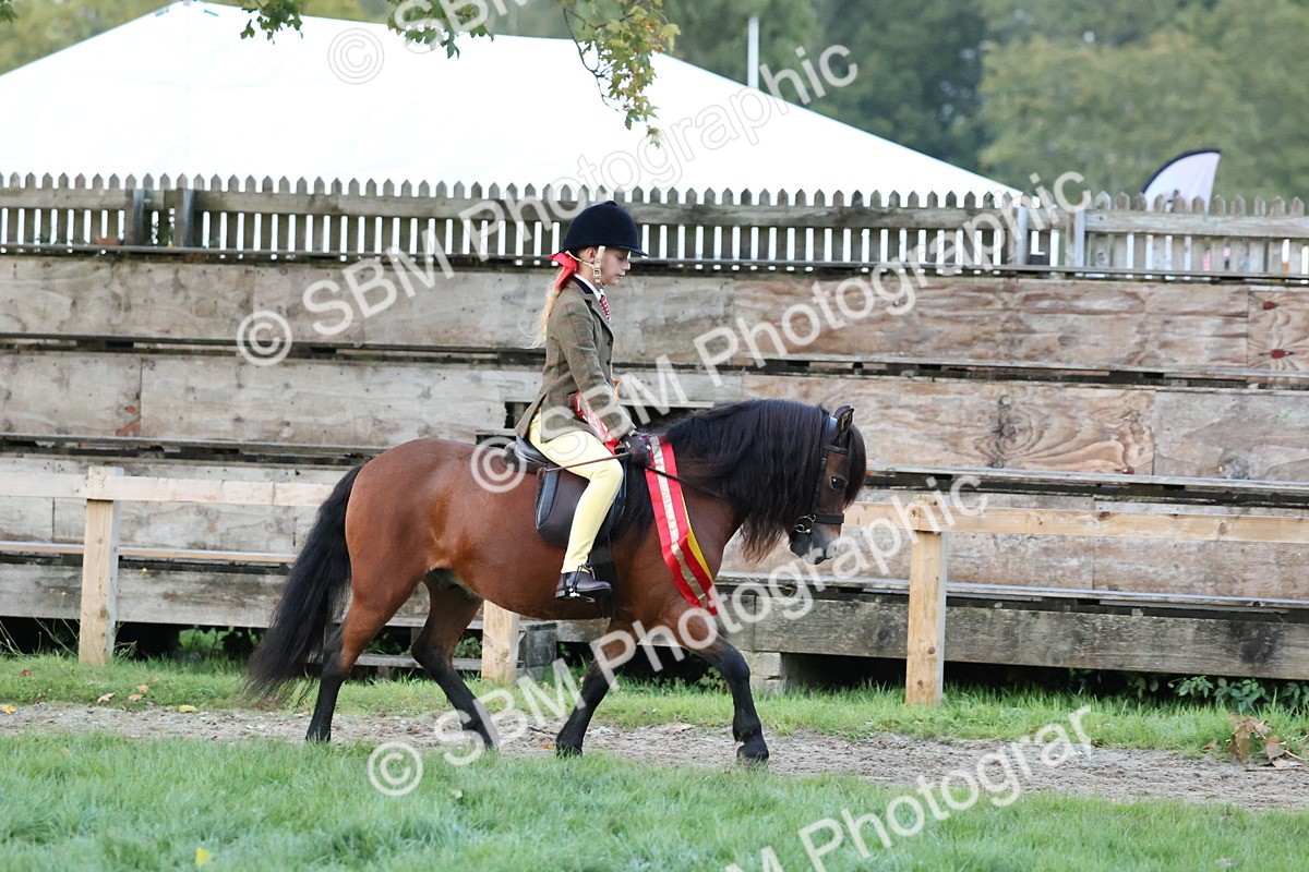 SBM_53457 - Super Supreme Championship (Sat)