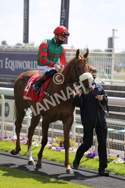 yr13052021r1-7 - Race 1 1.40pm The Matchbook Betting Exchange Stakes
