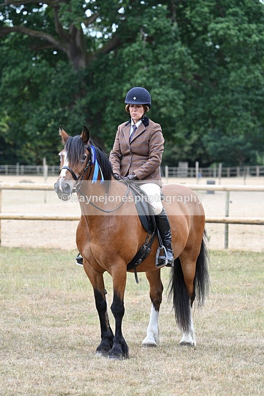 WJ7_0710 - Class 6 Ridden Mountain and Moorland